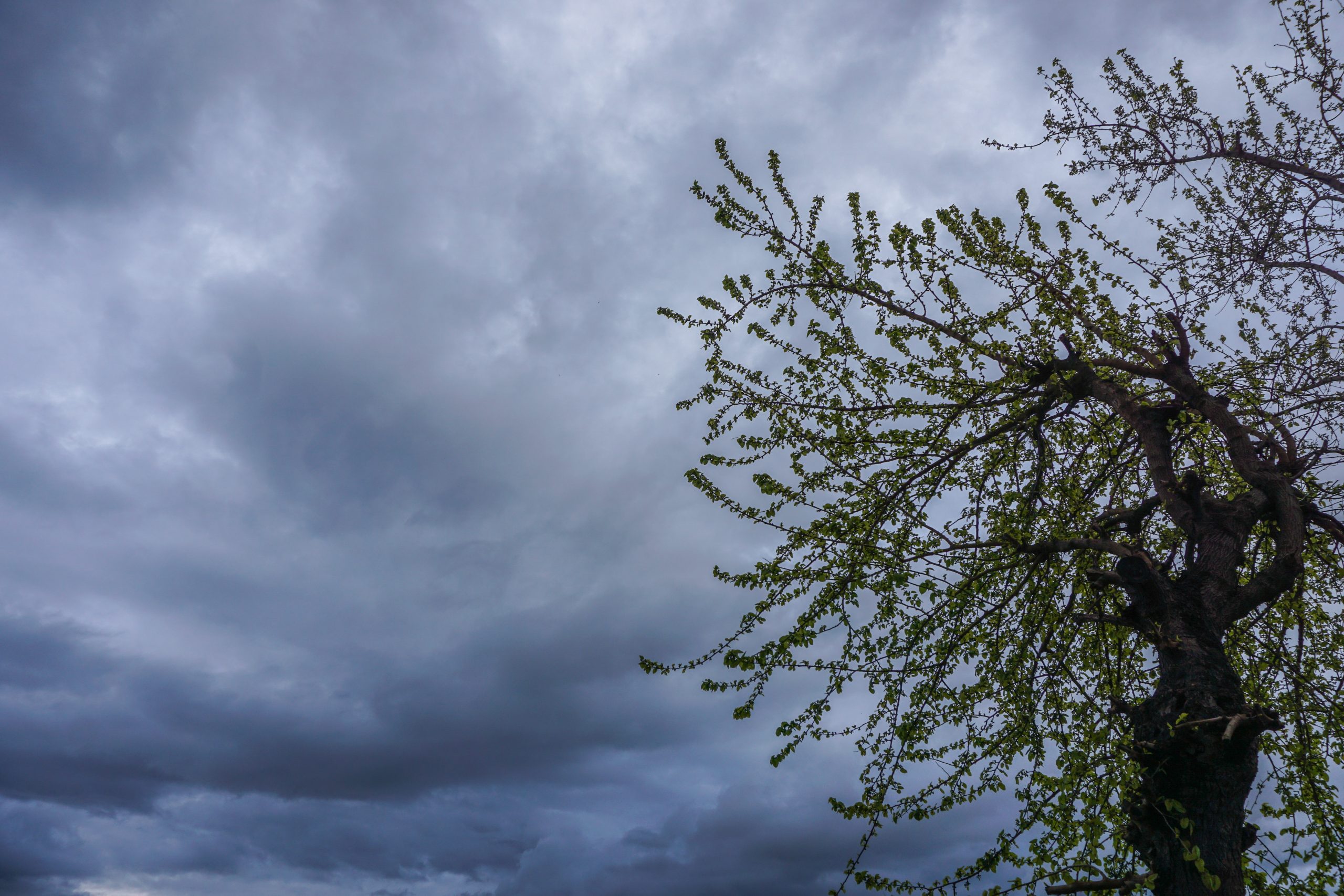 &Kappa;&alpha;&iota;&rho;ό&sigmaf;: &Iota;&sigma;&chi;&upsilon;&rho;έ&sigmaf; &beta;&rho;&omicron;&chi;έ&sigmaf; &kappa;&alpha;&iota; &kappa;&alpha;&tau;&alpha;&iota;&gamma;ί&delta;&epsilon;&sigmaf; &tau;&eta; &Delta;&epsilon;&upsilon;&tau;έ&rho;&alpha;, &omicron;&iota; &pi;&epsilon;&rho;&iota;&omicron;&chi;έ&sigmaf; &sigma;&tau;&omicron; &epsilon;&pi;ί&kappa;&epsilon;&nu;&tau;&rho;&omicron; - &Pi;&rho;ό&gamma;&nu;&omega;&sigma;&eta; &alpha;&pi;ό &tau;&eta;&nu; &Epsilon;&lambda;ί&nu;&alpha; &Kappa;&alpha;&rho;έ&tau;&sigma;&omicron;&upsilon;