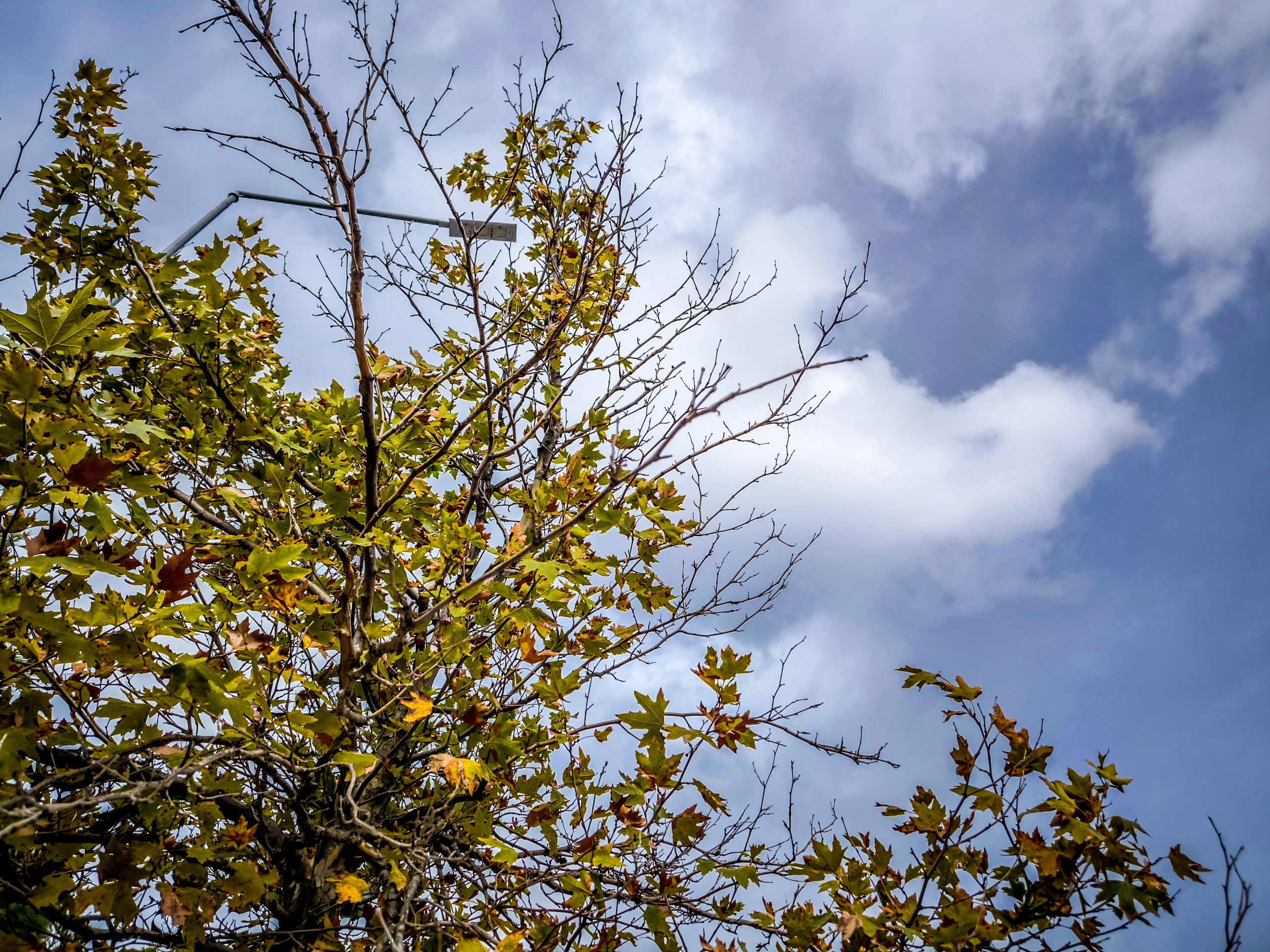 &Kappa;&alpha;&iota;&rho;ό&sigmaf;: &Alpha;ί&theta;&rho;&iota;&omicron;&sigmaf; &mu;&epsilon; &lambda;ί&gamma;&epsilon;&sigmaf; &tau;&omicron;&pi;&iota;&kappa;έ&sigmaf; &beta;&rho;&omicron;&chi;έ&sigmaf; &kappa;&alpha;&iota; &pi;&tau;ώ&sigma;&eta; &theta;&epsilon;&rho;&mu;&omicron;&kappa;&rho;&alpha;&sigma;ί&alpha;&sigmaf;