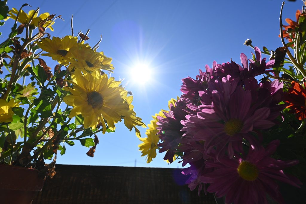 Καιρός: Ανοιξιάτικο το Σαββατοκύριακο – Εισβολή αφρικανικής σκόνης από Δευτέρα