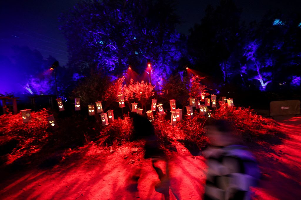 Η «εφιαλτική γλυκύτητα» του φετινού Halloween: Παρά την πτώση στις τιμές κακάο και ζάχαρης, τα σοκολατάκια και τα γλυκά παραμένουν ακριβά λόγω πληθωριστικών πιέσεων