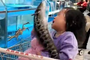 Απίστευτο περιστατικό σε σούπερ μάρκετ: Ψάρι «δραπετεύει» από δεξαμενή και χτυπά κορίτσι στο πρόσωπο (βίντεο)