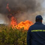 Συναγερμός στην Εύβοια: Πυρκαγιά τώρα κοντά στην Ερέτρια