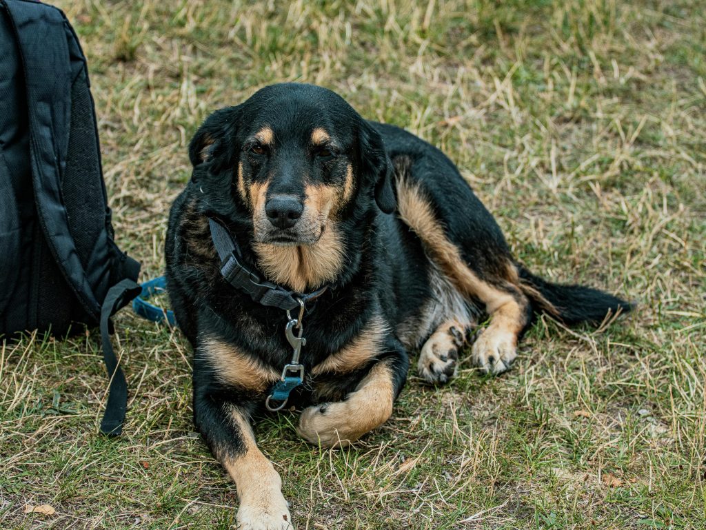 Αναγνώσεις