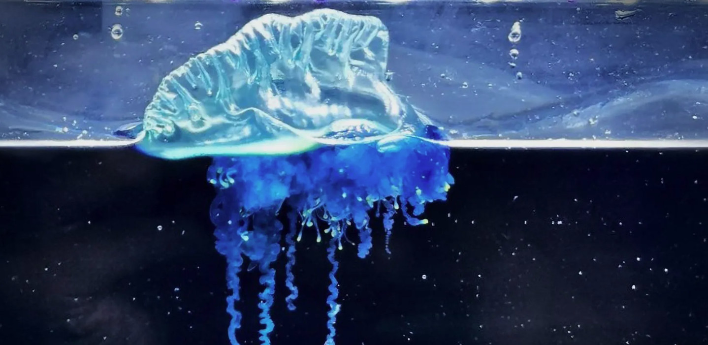 &Epsilon;&nu;&tau;&omicron;&pi;ί&sigma;&tau;&eta;&kappa;&epsilon; &nu;έ&omicron; &epsilon;ί&delta;&omicron;&sigmaf; &laquo;&mu;έ&delta;&omicron;&upsilon;&sigma;&alpha;&sigmaf; &sigma;&alpha;&mu;&omicron;&upsilon;&rho;ά&iota;&raquo; - &Delta;&eta;&lambda;&eta;&tau;&eta;&rho;&iota;ώ&delta;&eta;&sigmaf; &kappa;&alpha;&iota; ά&kappa;&rho;&omega;&sigmaf; &epsilon;&pi;&iota;&kappa;ί&nu;&delta;&upsilon;&nu;&eta; &eta; &pi;&omicron;&lambda;&epsilon;&mu;ί&sigma;&tau;&rho;&iota;&alpha; &tau;&omega;&nu; &theta;&alpha;&lambda;&alpha;&sigma;&sigma;ώ&nu;