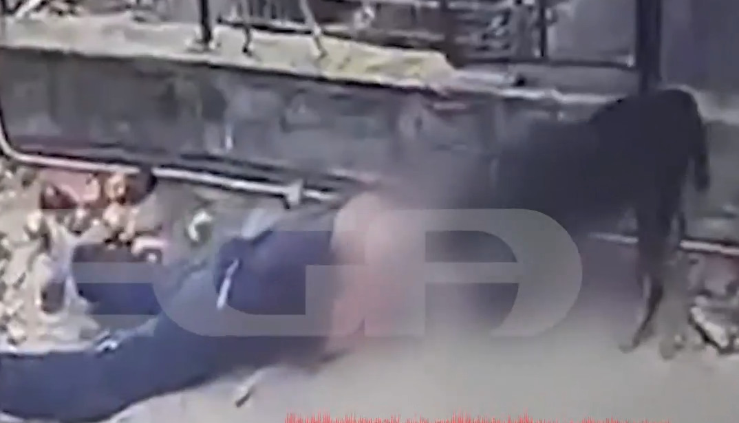 &Sigma;&omicron;&kappa; &gamma;&iota;&alpha; &tau;&eta;&nu; &epsilon;&pi;ί&theta;&epsilon;&sigma;&eta; &sigma;&kappa;ύ&lambda;&omicron;&upsilon; &sigma;&tau;&omicron;&nu; 76&chi;&rho;&omicron;&nu;&omicron;: &laquo;&Tau;&omicron;&nu; &epsilon;ί&chi;&alpha;&mu;&epsilon; 10 &chi;&rho;ό&nu;&iota;&alpha;, &pi;&omicron;&tau;έ &delta;&epsilon;&nu; &epsilon;ί&chi;&epsilon; &epsilon;&pi;&iota;&tau;&epsilon;&theta;&epsilon;ί&raquo;, &lambda;έ&epsilon;&iota; &omicron; &gamma;&iota;&omicron;&sigmaf; &tau;&omicron;&upsilon;