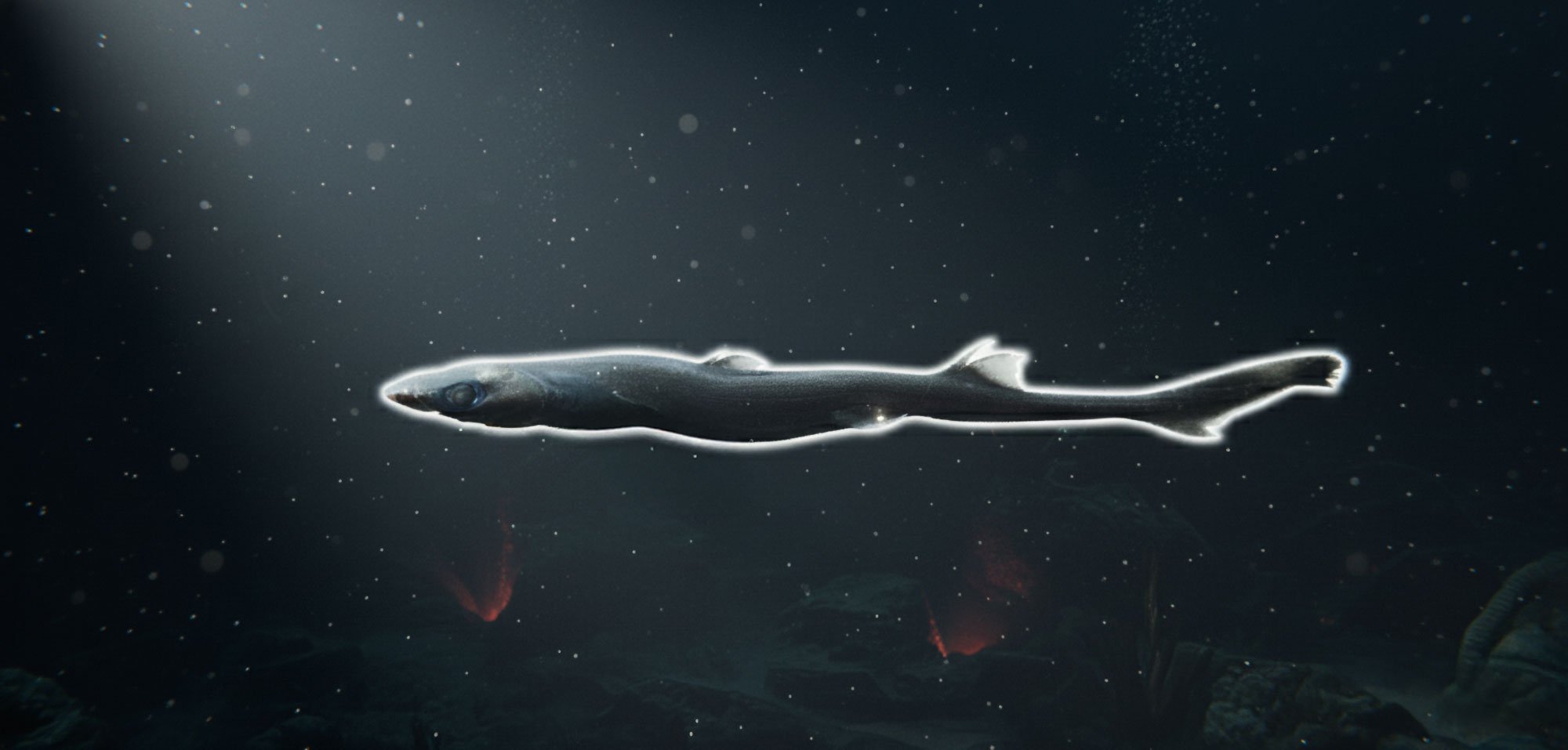 &Kappa;&alpha;&rho;&chi;&alpha;&rho;ί&alpha; - &lambda;&alpha;&mu;&pi;&alpha;&tau;έ&rho; &alpha;&nu;&alpha;&kappa;ά&lambda;&upsilon;&psi;&alpha;&nu; &epsilon;&rho;&epsilon;&upsilon;&nu;&eta;&tau;έ&sigmaf; &sigma;&tau;&alpha; &beta;ά&theta;&eta; &tau;&omega;&nu; &omega;&kappa;&epsilon;&alpha;&nu;ώ&nu;