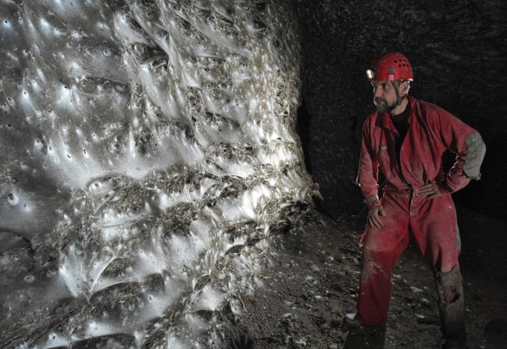 Εντυπωσιακό εύρημα στα σύνορα Ελλάδας – Αλβανίας: Ο μεγαλύτερος ιστός αραχνών στον πλανήτη