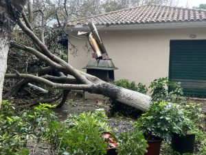 Ανεμοστρόβιλος ισοπέδωσε την Φοινικούντα – Εικόνα βομβαρδισμένου τοπίου στην περιοχή