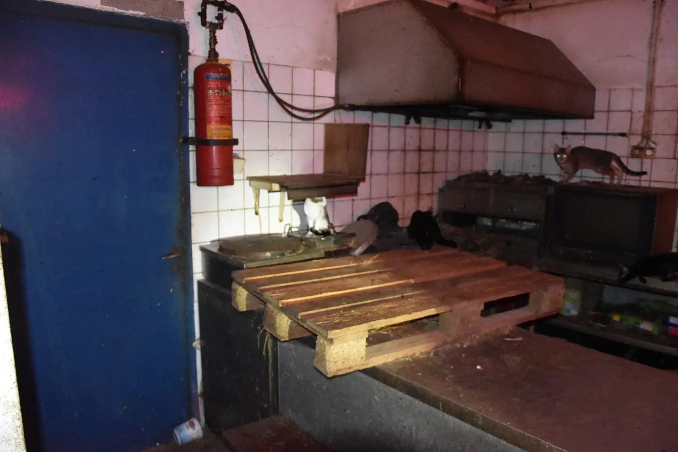 &Sigma;&tau;&eta; &phi;&upsilon;&lambda;&alpha;&kappa;ή &omicron; 63&chi;&rho;&omicron;&nu;&omicron;&sigmaf; &pi;&omicron;&upsilon; &epsilon;ί&chi;&epsilon; &kappa;&lambda;&epsilon;&iota;&delta;&omega;&mu;έ&nu;&epsilon;&sigmaf; 58 &gamma;ά&tau;&epsilon;&sigmaf; &kappa;&alpha;&iota; &tau;&omicron;&upsilon; &epsilon;&pi;&iota;&beta;&lambda;ή&theta;&eta;&kappa;&epsilon; &pi;&rho;ό&sigma;&tau;&iota;&mu;&omicron; 1,7 &epsilon;&kappa;&alpha;&tau;. &epsilon;&upsilon;&rho;ώ