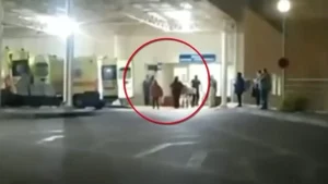 Χαλκίδα: Ένας νεκρός και δύο τραυματίες από συμπλοκή οπαδών – «Μαχαίρωσαν ένα παλικάρι για το τίποτα»