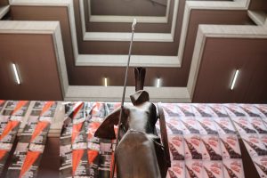 Πανεπιστήμια: Έρχεται οριστική διαγραφή 285.000 αιώνιων φοιτητών – Από τις σχολές οι τελικές λίστες