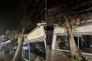Ηγουμενίτσα: Τεράστιος πλάτανος έπεσε σε ταβέρνα εξαιτίας των ισχυρών ανέμων