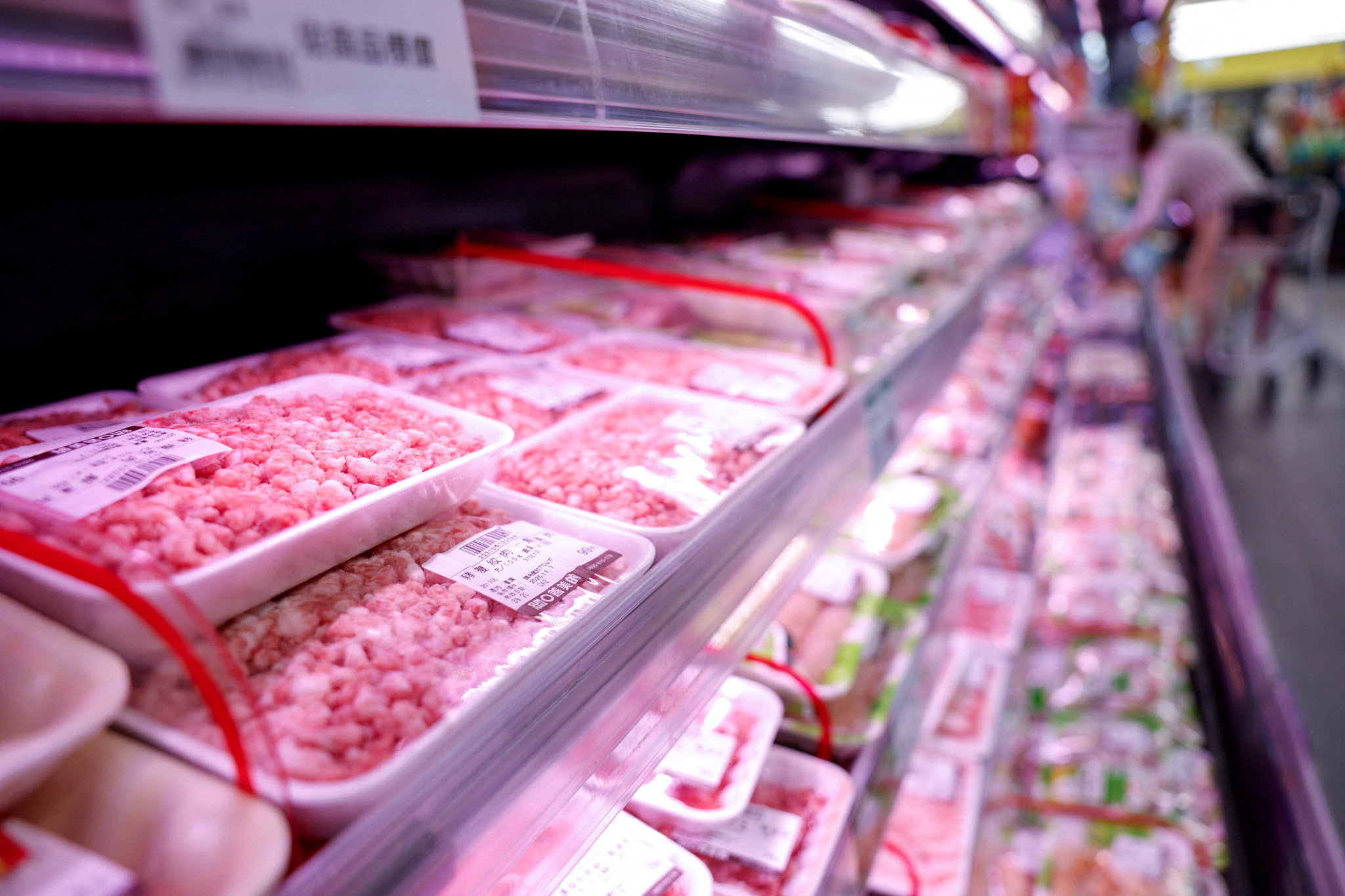 Κίνα: Απαγόρευση εισαγωγών χοιρινού από τη Βαρκελώνη μετά τον εντοπισμό αγριόχοιρων με αφρικανική πανώλη 