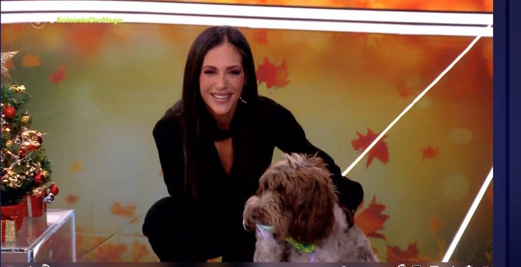 Η Ανθή Βούλγαρη «ξέχασε» τον Κασσελάκη και άρχισε να παίζει με τη Φάρλεϊ στο πλατό του MEGA