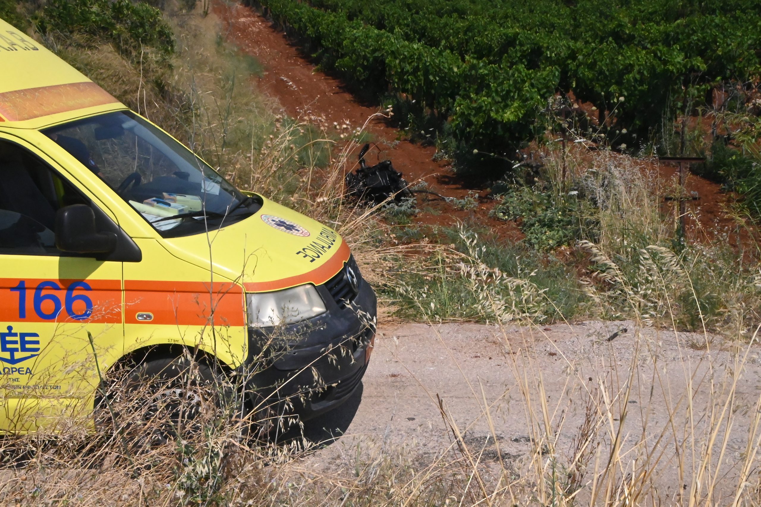 Τραγωδία στον Δομοκό: Έχασε τη ζωή του από τσίμπημα μέλισσας – Τράκαρε και δεν πρόλαβε να πάει στο φαρμακείο