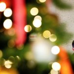 Β. Ζελένσκι: Αποκάλυψε το ειρηνευτικό σχέδιο 20 σημείων για την Ουκρανία – Τα δύο «αγκάθια»