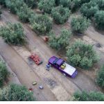 ΟΠΕΚΕΠΕ: Στον Εισαγγελέα οι πρώτες 50 μαζικές διαγραφές αγρών από το Ε9 – Λίστα με 3.000 «ιδιοκτήτες»