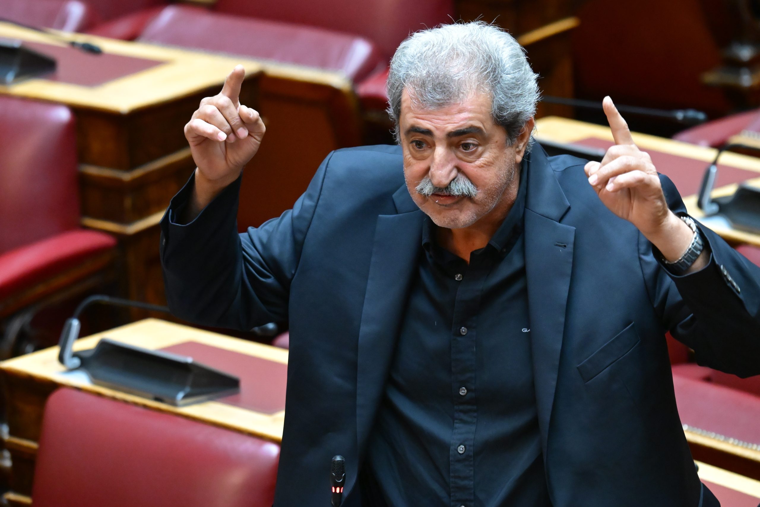 Πολάκης για την παρουσίαση του βιβλίου Τσίπρα: «Δεν πήγα γιατί έχω υψοφοβία»