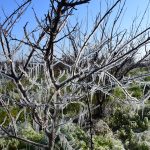 «Πάγωσε» η Κεντρική Μακεδονία – Ρεκόρ ψύχους στον Λαγκαδά