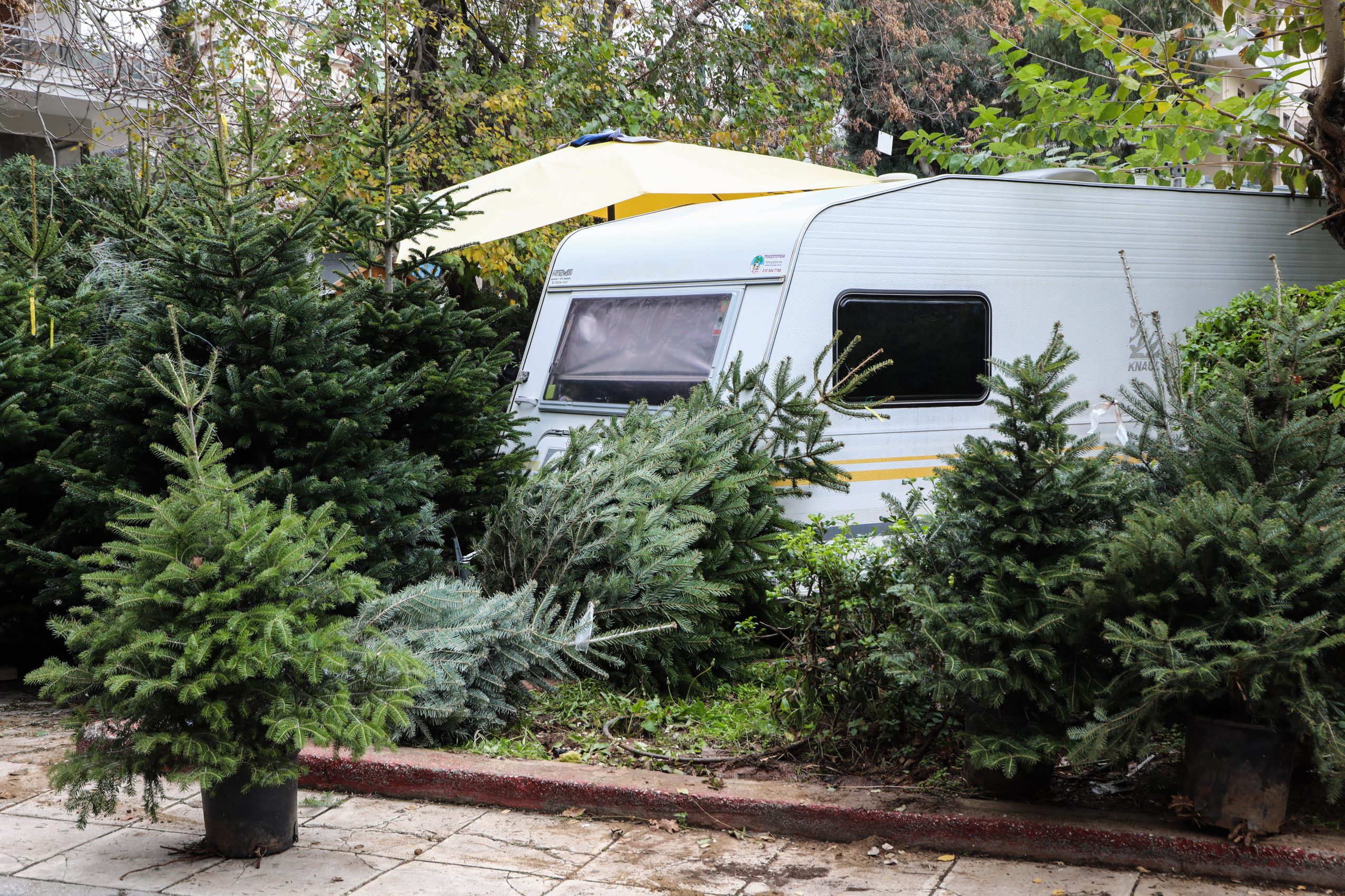 &laquo;&Mu;έ&nu;&omicron;&upsilon;&mu;&epsilon; &sigma;&epsilon; &tau;&rho;&omicron;&chi;ό&sigma;&pi;&iota;&tau;&alpha;, &kappa;ά&nu;&omicron;&upsilon;&mu;&epsilon; &mu;&pi;ά&nu;&iota;&omicron; &sigma;&epsilon; &xi;&epsilon;&nu;&omicron;&delta;&omicron;&chi;&epsilon;ί&alpha;&raquo;: &Eta; &nu;&omicron;&mu;&alpha;&delta;&iota;&kappa;ή &zeta;&omega;ή &tau;&omega;&nu; &epsilon;&lambda;&alpha;&tau;&omicron;&pi;&alpha;&rho;&alpha;&gamma;&omega;&gamma;ώ&nu; &pi;&omicron;&upsilon; &phi;&tau;ά&nu;&omicron;&upsilon;&nu; &sigma;&tau;&eta;&nu; &Alpha;&theta;ή&nu;&alpha;