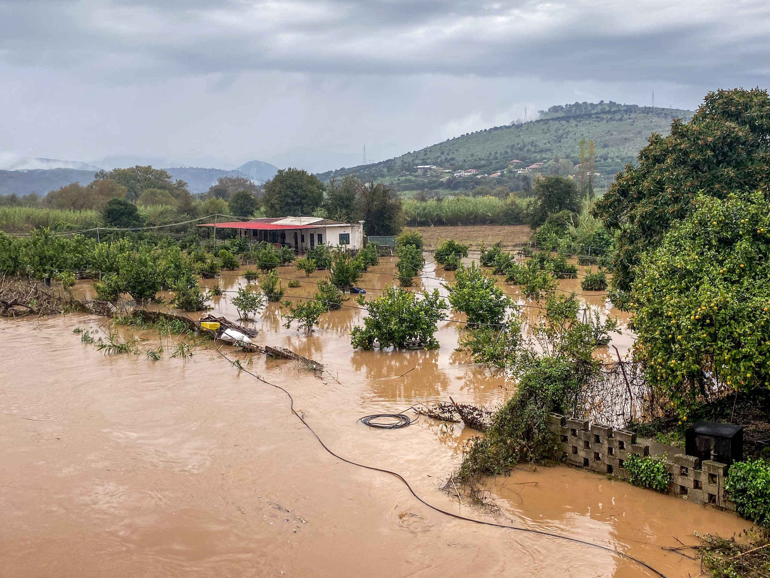 &Kappa;&alpha;&kappa;&omicron;&kappa;&alpha;&iota;&rho;ί&alpha; Adel: &Pi;&omicron;ύ &kappa;&alpha;&tau;&alpha;&gamma;&rho;ά&phi;&eta;&kappa;&alpha;&nu; &tau;&alpha; &mu;&epsilon;&gamma;&alpha;&lambda;ύ&tau;&epsilon;&rho;&eta; ύ&psi;&eta; &beta;&rho;&omicron;&chi;ή&sigmaf; - &laquo;&Pi;&nu;ί&gamma;&eta;&kappa;&alpha;&nu;&raquo; &tau;&alpha; &Tau;&zeta;&omicron;&upsilon;&mu;έ&rho;&kappa;&alpha;