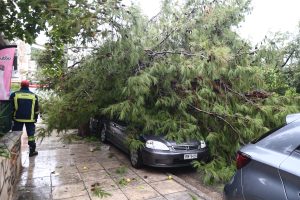 Κακοκαιρία Byron: Δέντρο καταπλάκωσε αυτοκίνητο στο Παλαιό Φάληρο – Πώς γλίτωσε ο οδηγός