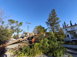 «Βουτιά» του υδράργυρου στην Κ. Μακεδονία – 710 κλήσεις δέχτηκε η Πυροσβεστική λόγω θυελλωδών ανέμων