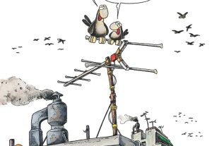 Η καλημέρα του Αρκά με σπουργίτια και χειμωνιάτικο χιούμορ