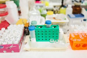 Γιατί το σπέρμα των Βίκινγκς είναι περιζήτητο;