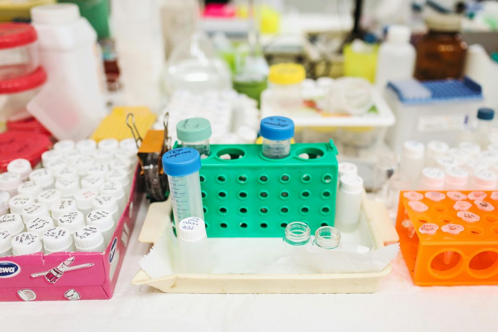 Γιατί το σπέρμα των Βίκινγκς είναι περιζήτητο – Ο κίνδυνος ακούσιας συγγένειας