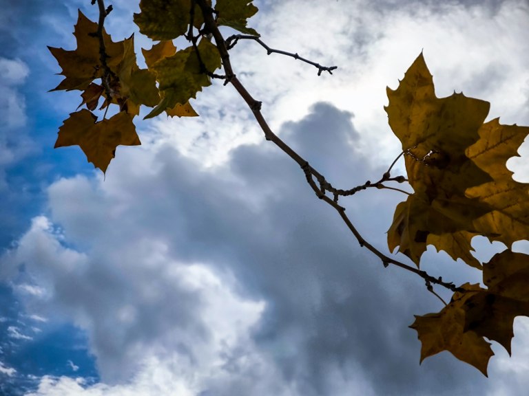 Καιρός: Τοπικά φαινόμενα και πτώση θερμοκρασίας την Παρασκευή – Σταδιακή βελτίωση έως την Κυριακή