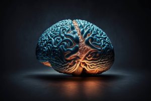 Καμίλα Νορντ στα «ΝΕΑ»: «Ο εγκέφαλός μας είναι ένα όργανο που έχει προσδοκία»