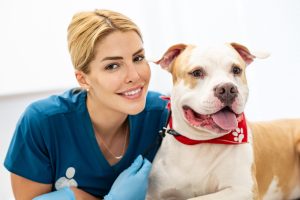 Η Σημασία της Εξατομικευμένης Διατροφής με Βάση το Μέγεθος και τη Φυλή του Σκύλου