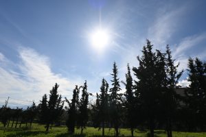 Εμμένει ο αντικυκλώνας – Η πρόγνωση Τσατραφύλλια για τον καιρό τα Χριστούγεννα