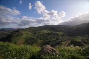 Αδήλωτα στο Κτηματολόγιο τα μισά ακίνητα σε Ηράκλειο, Μαλεβίζι, Χερσόνησο – Αβεβαιότητα για επιδοτήσεις