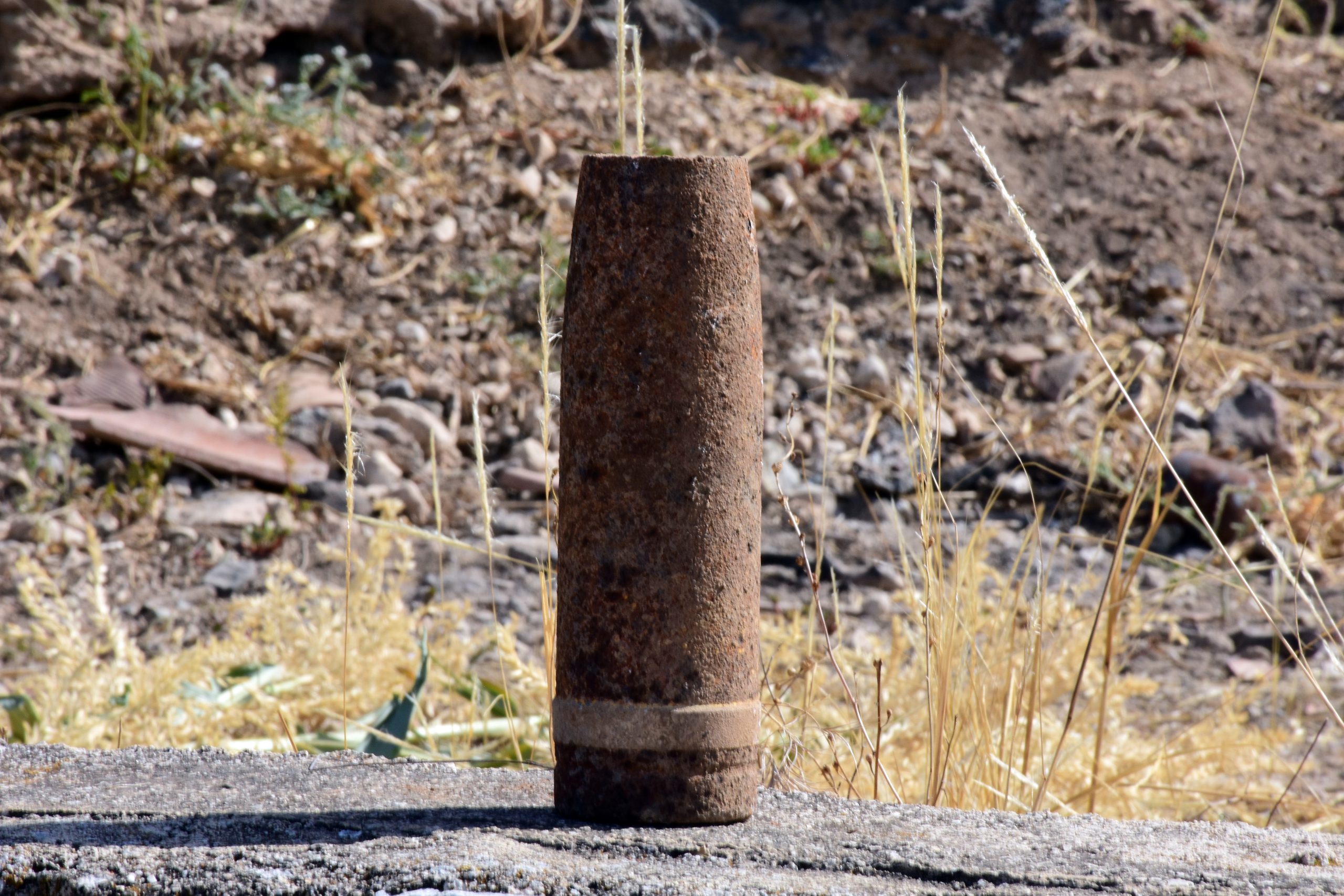 &Theta;&epsilon;&sigma;&sigma;&alpha;&lambda;&omicron;&nu;ί&kappa;&eta;: &Beta;&rho;έ&theta;&eta;&kappa;&epsilon; &omicron;&xi;&epsilon;&iota;&delta;&omega;&mu;έ&nu;&eta; &omicron;&beta;ί&delta;&alpha; &sigma;&tau;&iota;&sigmaf; &epsilon;&rho;&gamma;&alpha;&sigma;ί&epsilon;&sigmaf; &gamma;&iota;&alpha; &tau;&omicron;&nu; 6&omicron; &pi;&rho;&omicron;&beta;&lambda;ή&tau;&alpha; &tau;&omicron;&upsilon; &lambda;&iota;&mu;&alpha;&nu;&iota;&omicron;ύ