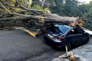 Βραζιλία: Ισχυρός κυκλώνας πλήττει το Σάο Πάολo – 1,5 εκατ. νοικοκυριά χωρίς ρεύμα, προβλήματα και στις πτήσεις (βίντεο)