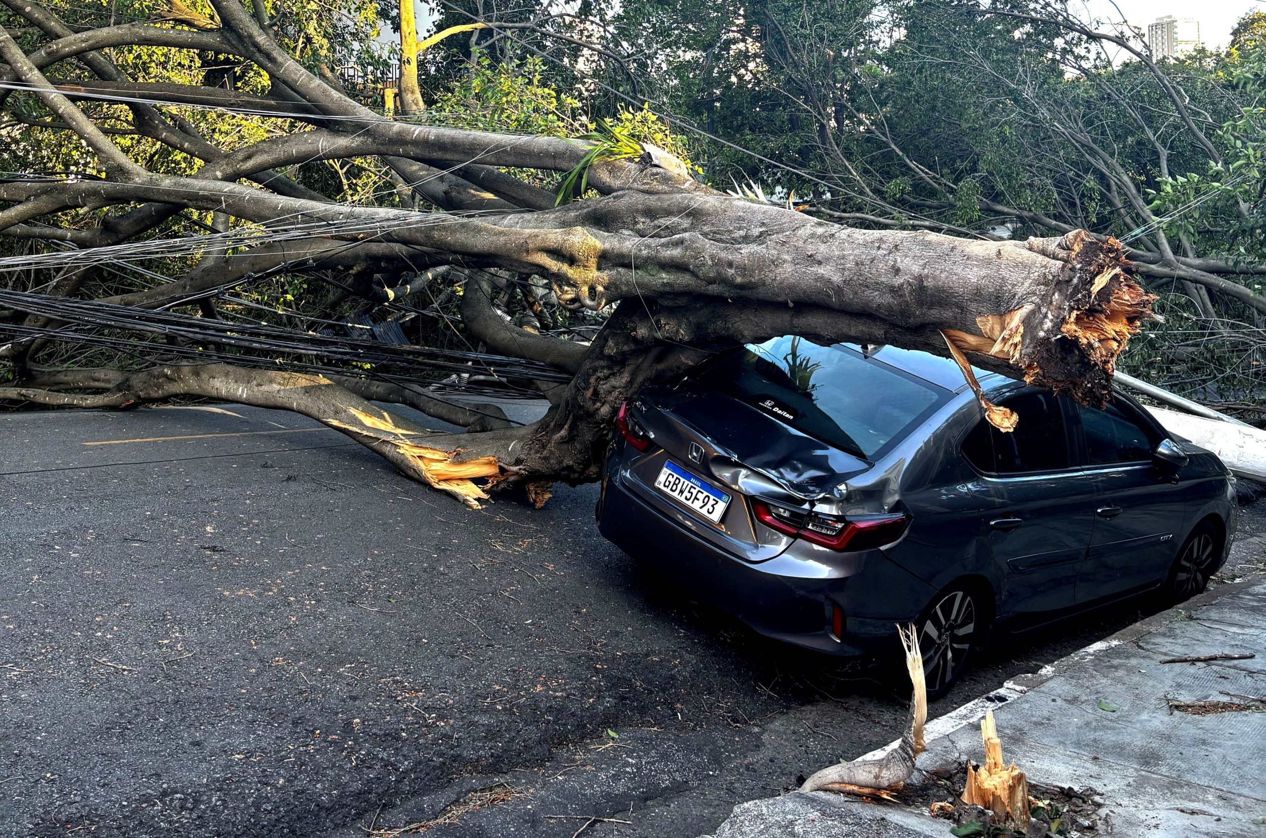 Βραζιλία: Ισχυρός κυκλώνας πλήττει το Σάο Πάολo – 1,5 εκατ. νοικοκυριά χωρίς ρεύμα, προβλήματα και στις πτήσεις (βίντεο)
