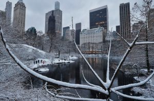 Νέα Υόρκη – Νιου Τζέρσεϊ: Σε κατάσταση έκτακτης ανάγκης λόγω σφοδρών χιονοπτώσεων, χάος στα αεροδρόμια