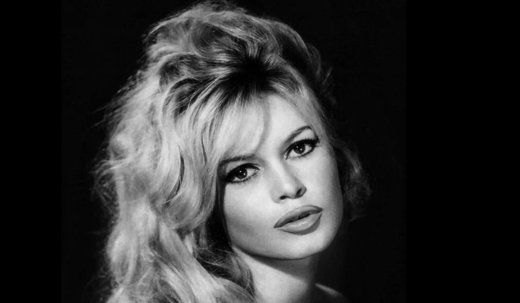 &Mu;&pi;&rho;&iota;&zeta;ί&tau; &Mu;&pi;&alpha;&rho;&nu;&tau;ό: &Alpha;&pi;ό &tau;&eta; &mu;&epsilon;&gamma;ά&lambda;&eta; &omicron;&theta;ό&nu;&eta; &sigma;&tau;&eta;&nu; &alpha;&kappa;&tau;&iota;&beta;&iota;&sigma;&tau;&iota;&kappa;ή &delta;&rho;ά&sigma;&eta; &gamma;&iota;&alpha; &tau;&eta;&nu; &pi;&rho;&omicron;&sigma;&tau;&alpha;&sigma;ί&alpha; &tau;&omega;&nu; &zeta;ώ&omega;&nu;