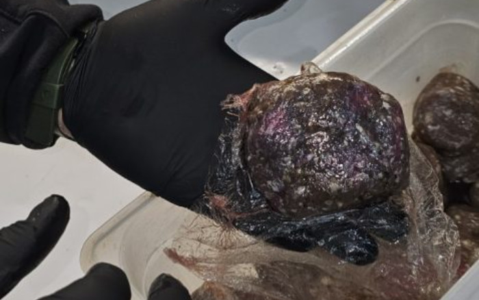 Κατασχέθηκαν 12 τόνοι αλλοιωμένων τροφίμων: Σάπια κρέατα, τυριά και λαχανικά θα έβγαιναν στην αγορά