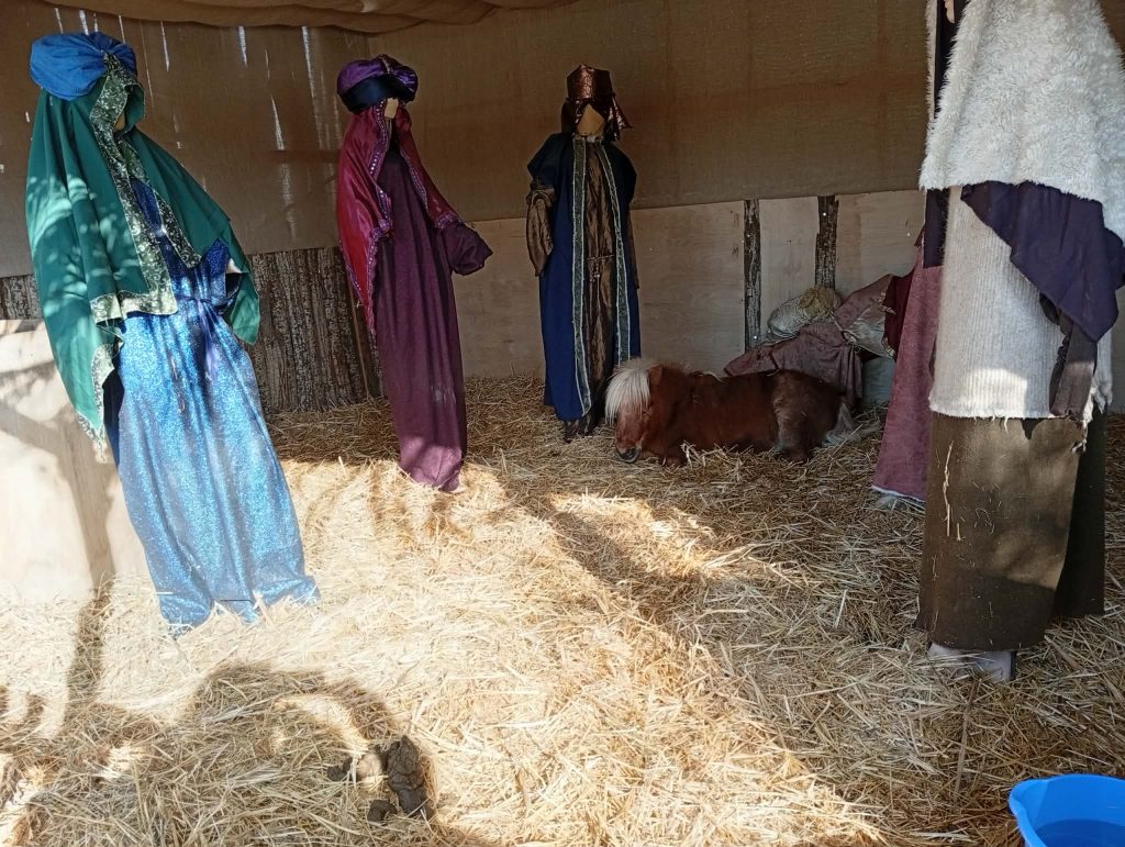 Αντιδράσεις στον Βόλο για το ζωντανό πόνι στην φάτνη της πόλης