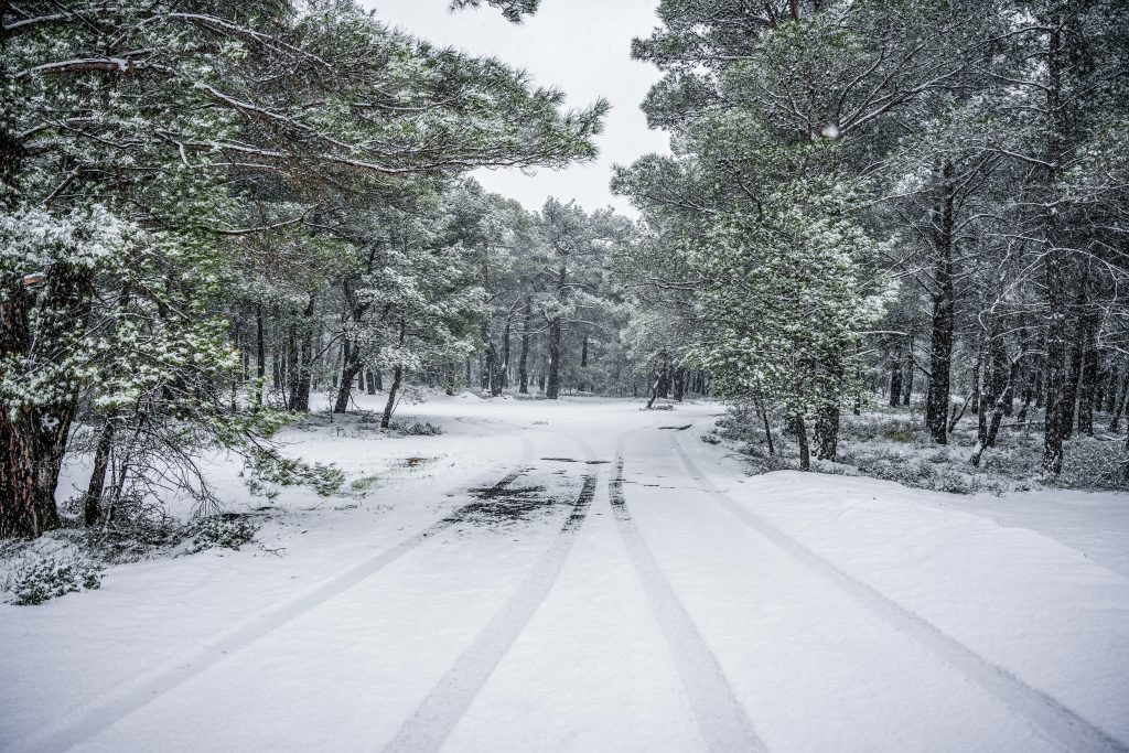 Στα «λευκά» ντύθηκε η Εύβοια – Τι καιρό αναμένουμε στην Αττική και στην υπόλοιπη Ελλάδα (video)
