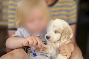 Τραγωδία στη Ζάκυνθο: Συγκλονίζουν οι γονείς του δίχρονου αγοριού – «Ήταν ό,τι πολυτιμότερο είχα»