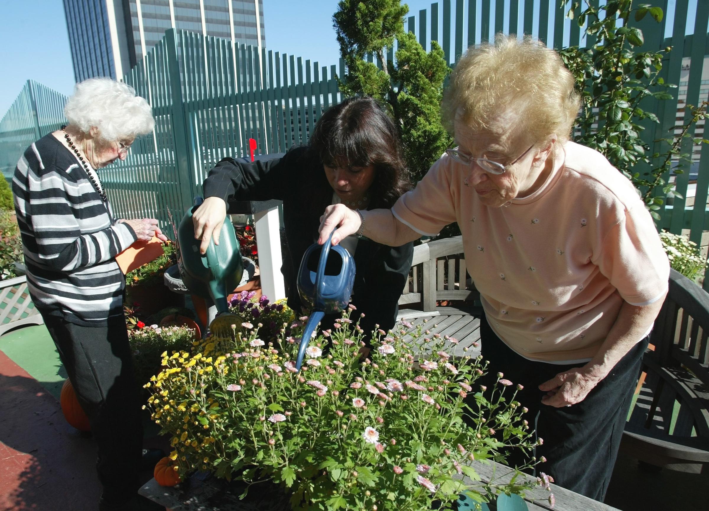 &Sigma;&upsilon;&mu;&pi;&tau;ώ&mu;&alpha;&tau;&alpha; &kappa;&alpha;&tau;ά&theta;&lambda;&iota;&psi;&eta;&sigmaf; &sigma;&tau;&eta; &mu;έ&sigma;&eta; &eta;&lambda;&iota;&kappa;ί&alpha; &alpha;&upsilon;&xi;ά&nu;&omicron;&upsilon;&nu; &tau;&omicron;&nu; &kappa;ί&nu;&delta;&upsilon;&nu;&omicron; ά&nu;&omicron;&iota;&alpha;&sigmaf;