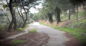 Φιλοθέη: Ενέδρα σε 20χρονο με «δόλωμα» μία γυναίκα – Πώς στήνουν ληστείες μέσω κοινωνικών δικτύων