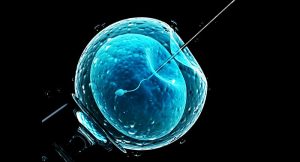 Δανός καθηγητής: «197 παιδιά από το σπέρμα του δότη 7069» – «Χωρίς ηθικούς κανόνες η λειτουργία της βιομηχανίας γεννήσεων»