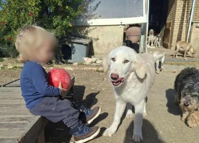 Συγκλονίζει η μητέρα του 2χρονου στη Ζάκυνθο: Όλα τελείωσαν σε 30 δευτερόλεπτα – Ο Λέο ήταν το όνειρο κάθε μαμάς