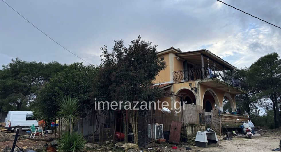 Ζάκυνθος: Επιτροπή θα αποφασίσει αν θα θανατωθεί το πίτμπουλ- «Δεν μπορούσαν να πάρουν το παιδί από τα δόντια του»