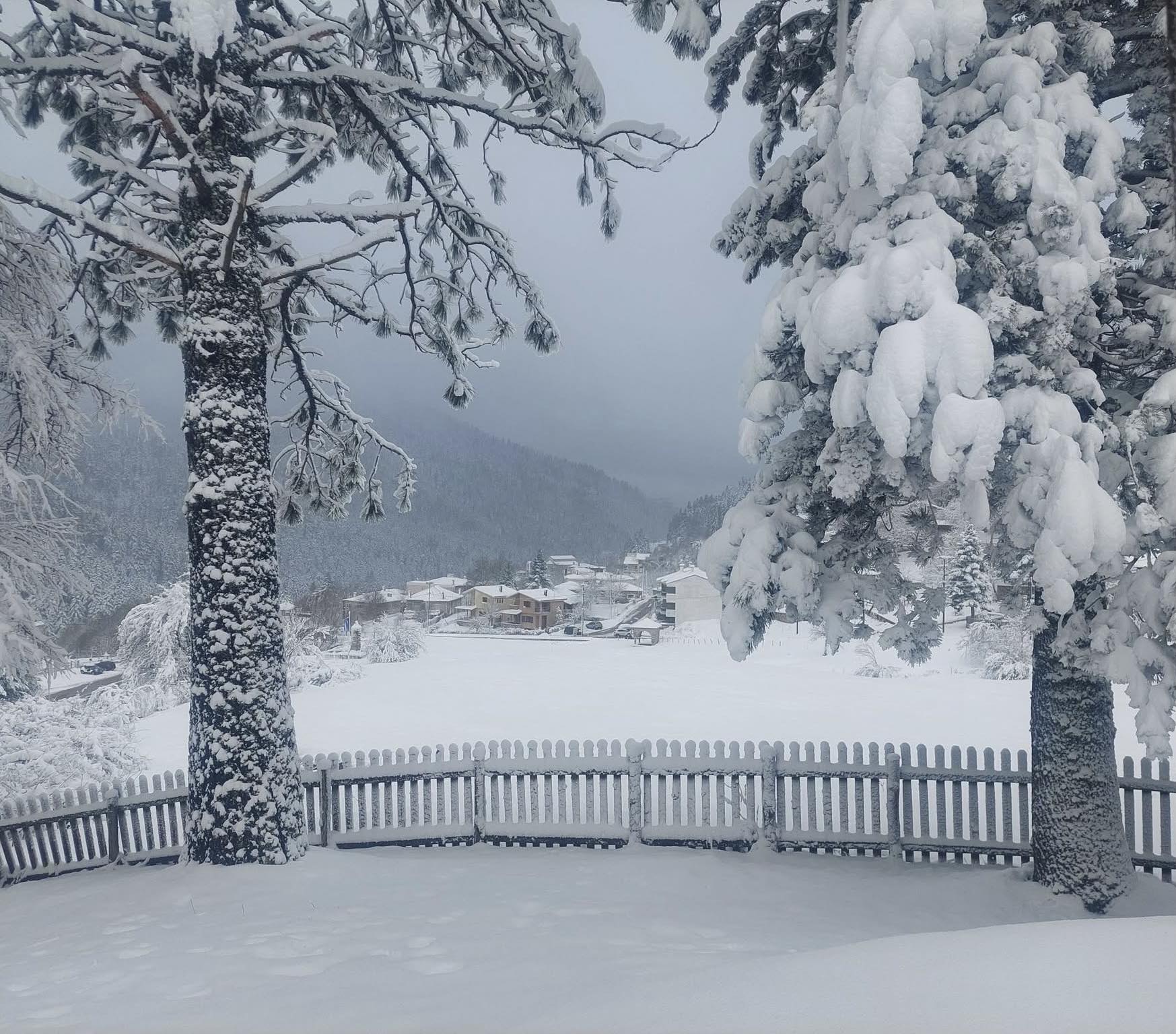 &Chi;&rho;&iota;&sigma;&tau;&omicron;&upsilon;&gamma;&epsilon;&nu;&nu;&iota;ά&tau;&iota;&kappa;&epsilon;&sigmaf; &delta;&iota;&alpha;&kappa;&omicron;&pi;έ&sigmaf;: 4 &nu;ύ&chi;&tau;&epsilon;&sigmaf; &delta;&iota;&alpha;&mu;&omicron;&nu;ή&sigmaf;, &pi;ά&nu;&omega; &alpha;&pi;ό 10 &pi;&rho;&omicron;&omicron;&rho;&iota;&sigma;&mu;&omicron;ί - &Tau;&iota;&mu;έ&sigmaf; &kappa;&alpha;&iota; &epsilon;&pi;&iota;&lambda;&omicron;&gamma;έ&sigmaf; &gamma;&iota;&alpha; ό&lambda;&alpha; &tau;&alpha; &beta;&alpha;&lambda;ά&nu;&tau;&iota;&alpha;